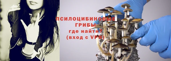 кокаин колумбия Белокуриха