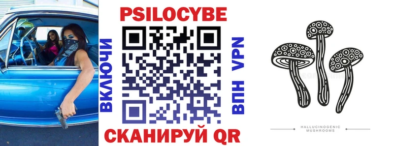Галлюциногенные грибы Psilocybe  площадка клад  Когалым 